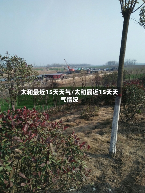 太和最近15天天气/太和最近15天天气情况