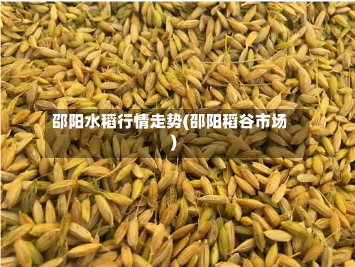 邵阳水稻行情走势(邵阳稻谷市场)