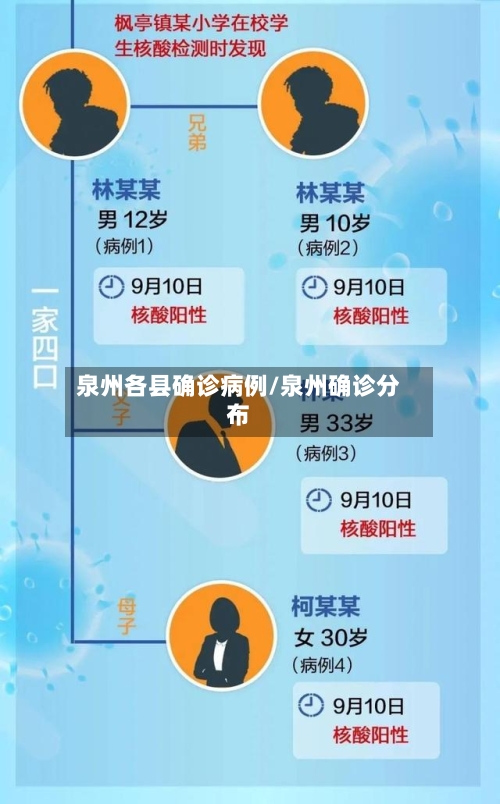 泉州各县确诊病例/泉州确诊分布