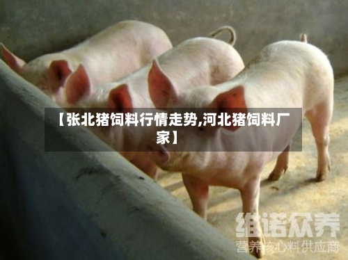 【张北猪饲料行情走势,河北猪饲料厂家】