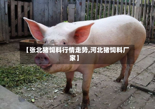 【张北猪饲料行情走势,河北猪饲料厂家】