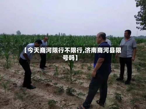 【今天商河限行不限行,济南商河县限号吗】