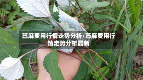 苎麻费用行情走势分析/苎麻费用行情走势分析最新