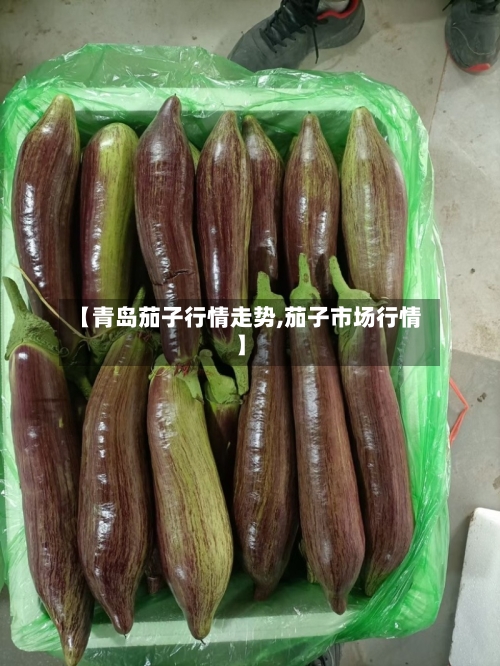 【青岛茄子行情走势,茄子市场行情】