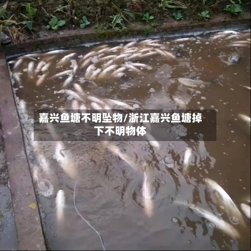 嘉兴鱼塘不明坠物/浙江嘉兴鱼塘掉下不明物体