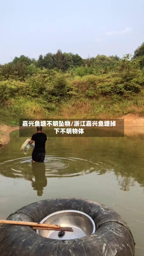 嘉兴鱼塘不明坠物/浙江嘉兴鱼塘掉下不明物体