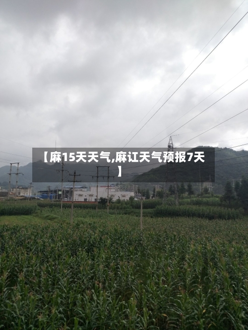 【麻15天天气,麻讧天气预报7天】