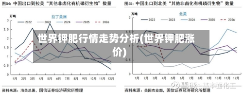 世界钾肥行情走势分析(世界钾肥涨价)
