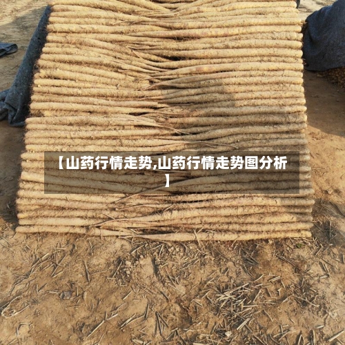 【山药行情走势,山药行情走势图分析】