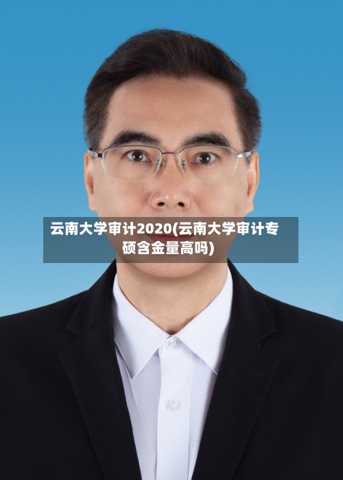 云南大学审计2020(云南大学审计专硕含金量高吗)