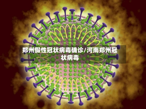 郑州假性冠状病毒确诊/河南郑州冠状病毒