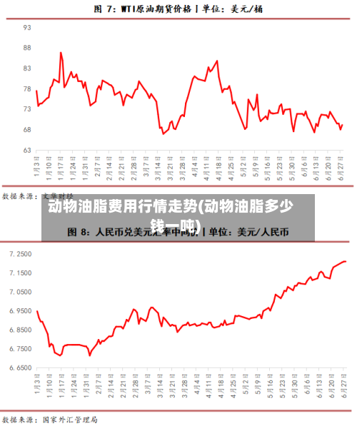 动物油脂费用行情走势(动物油脂多少钱一吨)