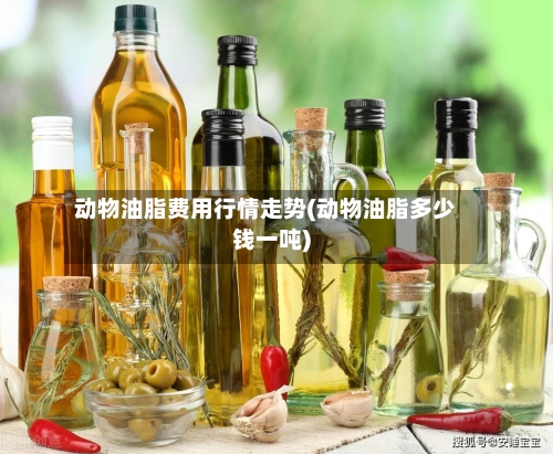 动物油脂费用行情走势(动物油脂多少钱一吨)