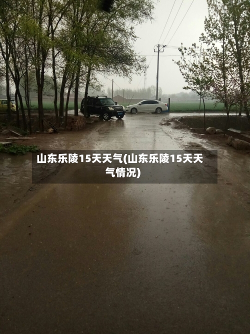 山东乐陵15天天气(山东乐陵15天天气情况)