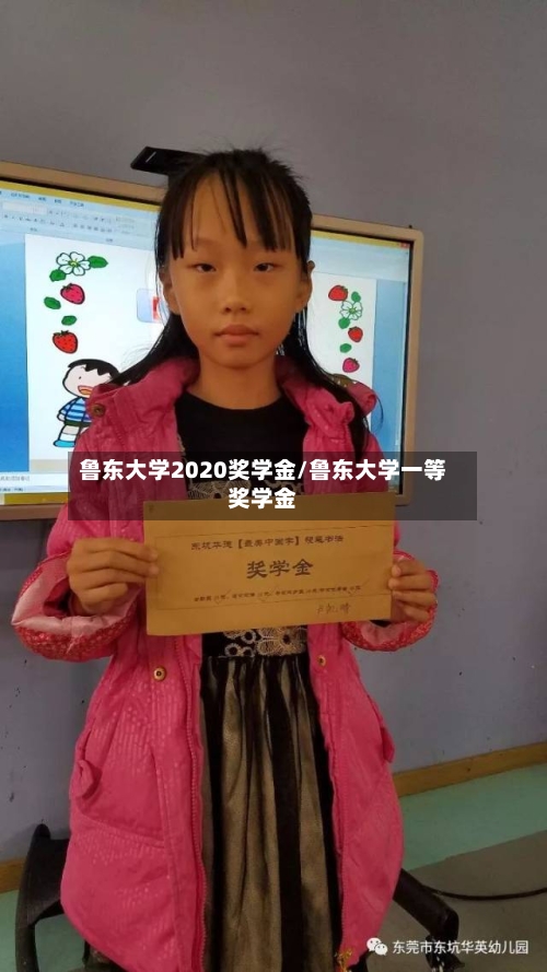 鲁东大学2020奖学金/鲁东大学一等奖学金