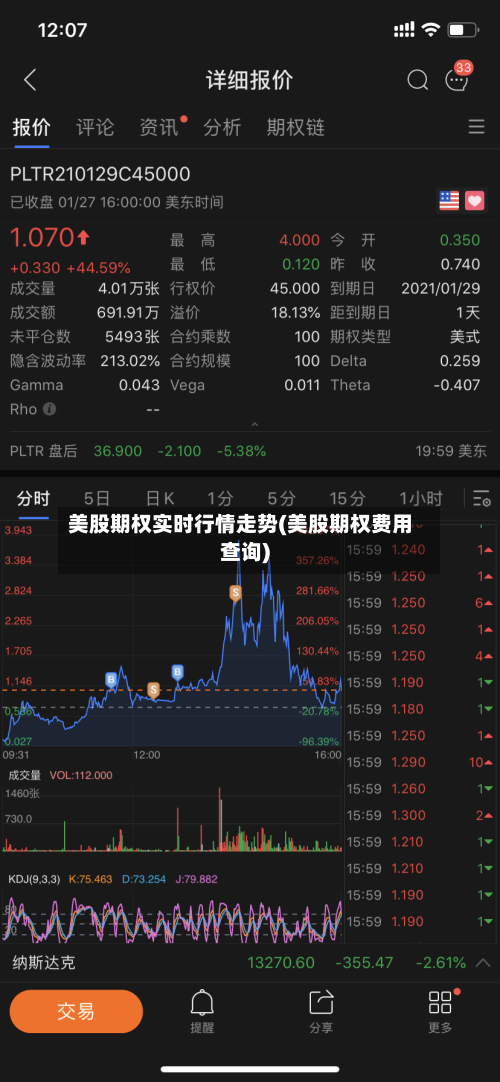 美股期权实时行情走势(美股期权费用查询)