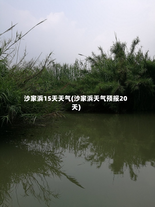 沙家浜15天天气(沙家浜天气预报20天)