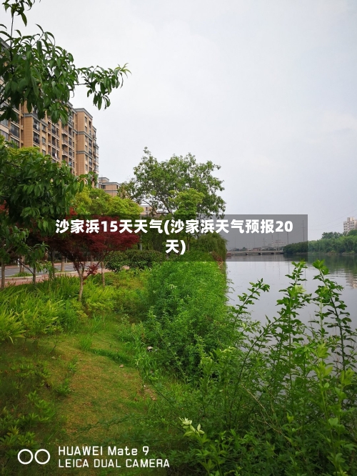 沙家浜15天天气(沙家浜天气预报20天)
