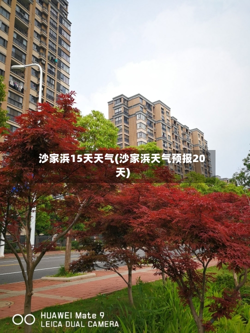 沙家浜15天天气(沙家浜天气预报20天)