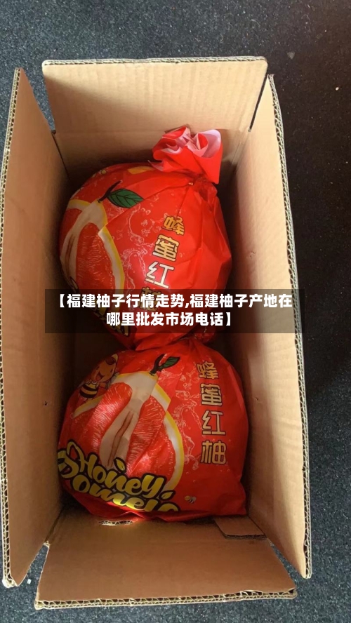 【福建柚子行情走势,福建柚子产地在哪里批发市场电话】