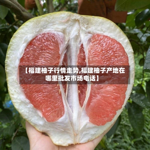 【福建柚子行情走势,福建柚子产地在哪里批发市场电话】