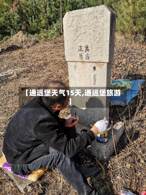 【通远堡天气15天,通远堡旅游】