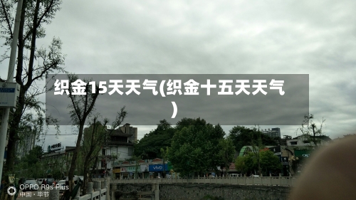 织金15天天气(织金十五天天气)