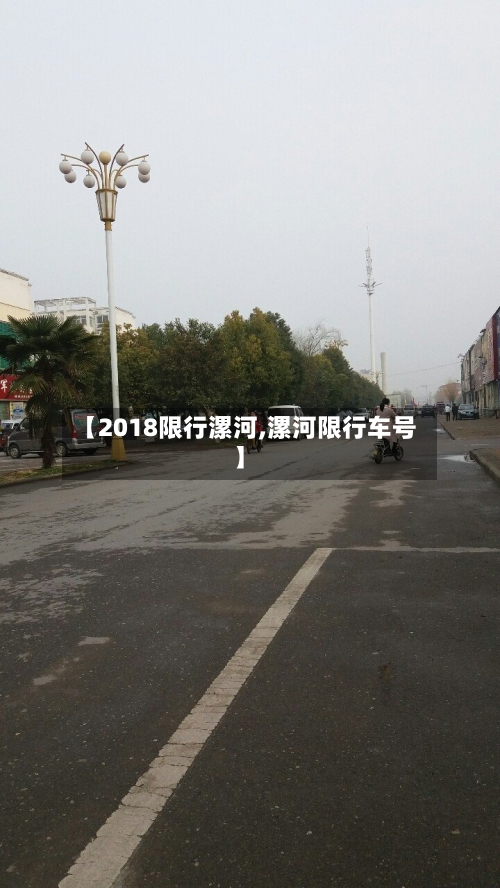 【2018限行漯河,漯河限行车号】