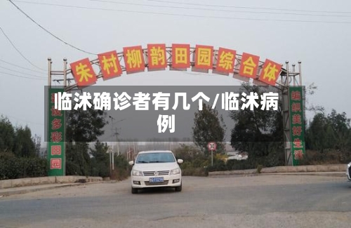 临沭确诊者有几个/临沭病例