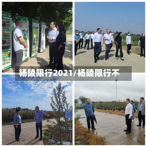 杨陵限行2021/杨陵限行不