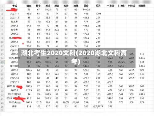 湖北考生2020文科(2020湖北文科高考)