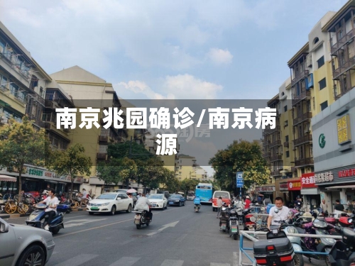 南京兆园确诊/南京病源