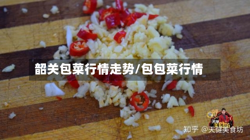 韶关包菜行情走势/包包菜行情