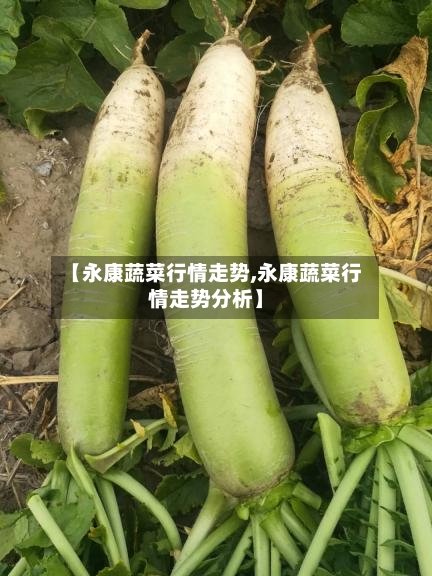 【永康蔬菜行情走势,永康蔬菜行情走势分析】