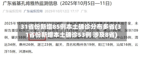 31省份新增85例本土确诊分布多省(31省份新增本土确诊53例 涉及8省)