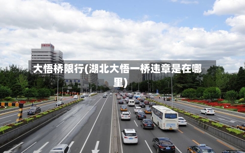 大悟桥限行(湖北大悟一桥违章是在哪里)