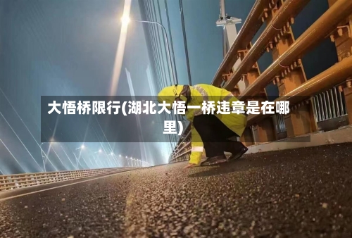 大悟桥限行(湖北大悟一桥违章是在哪里)