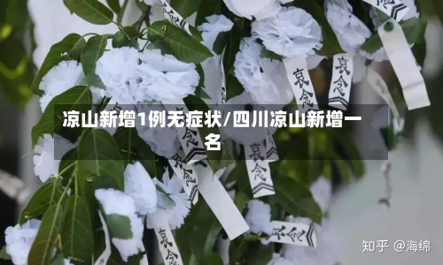 凉山新增1例无症状/四川凉山新增一名