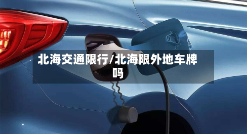 北海交通限行/北海限外地车牌吗