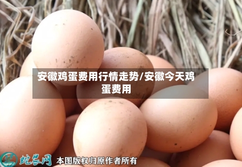 安徽鸡蛋费用行情走势/安徽今天鸡蛋费用