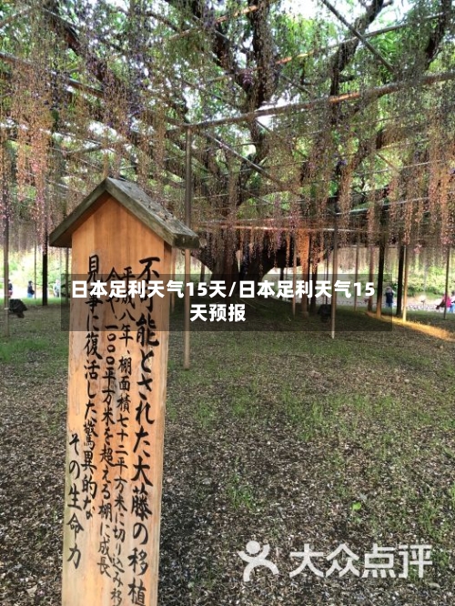 日本足利天气15天/日本足利天气15天预报