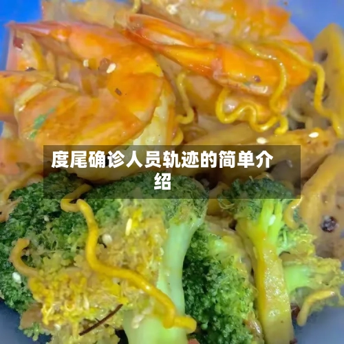 度尾确诊人员轨迹的简单介绍
