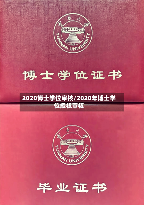 2020博士学位审核/2020年博士学位授权审核