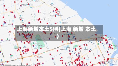 上海新增本土5例(上海 新增 本土)