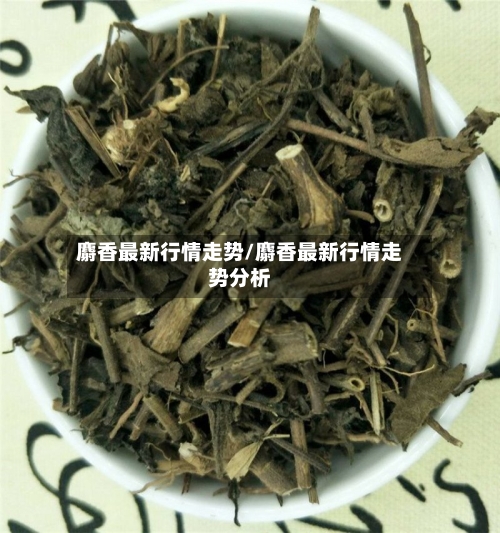 麝香最新行情走势/麝香最新行情走势分析