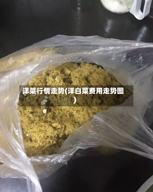洋菜行情走势(洋白菜费用走势图)
