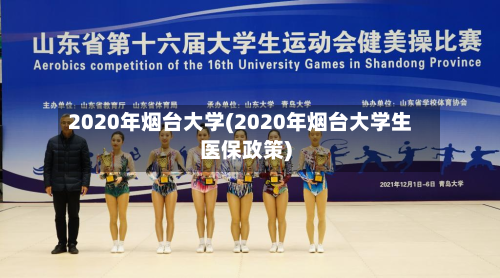 2020年烟台大学(2020年烟台大学生医保政策)