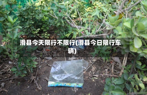 滑县今天限行不限行(滑县今日限行车辆)