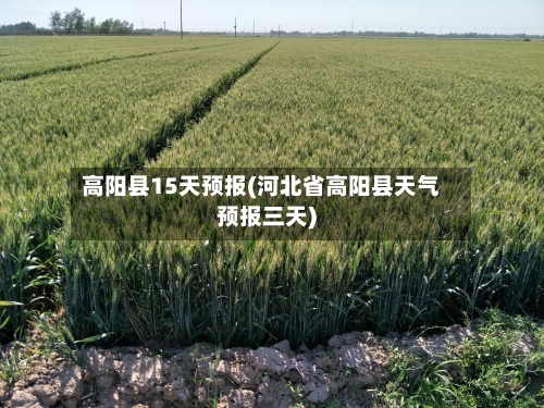 高阳县15天预报(河北省高阳县天气预报三天)