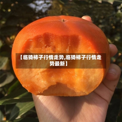 【临猗柿子行情走势,临猗柿子行情走势最新】